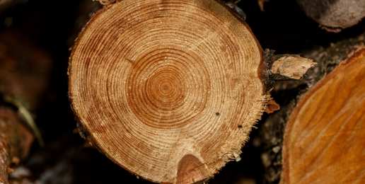Wood Products image